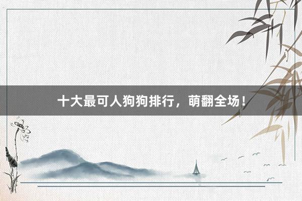 十大最可人狗狗排行,萌翻全场!