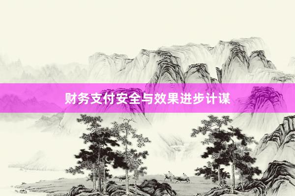 财务支付安全与效果进步计谋